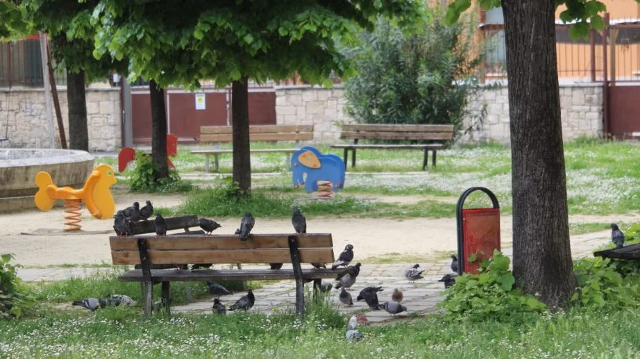  Più sicurezza in città, nuove telecamere a piazza Diaz e al Forte Malatesta