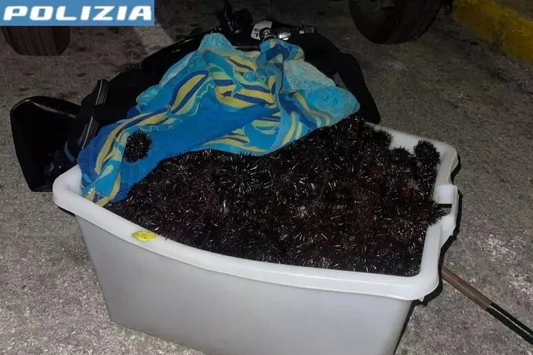 Pesca 500 ricci di mare al Passetto, sanzionato dalla Polizia