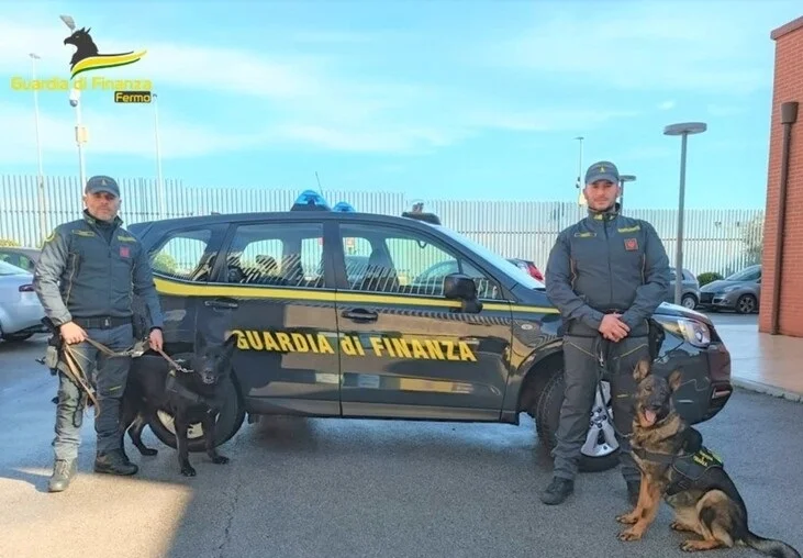 Traffico di droga, smantellato sodalizio criminale nel Fermano