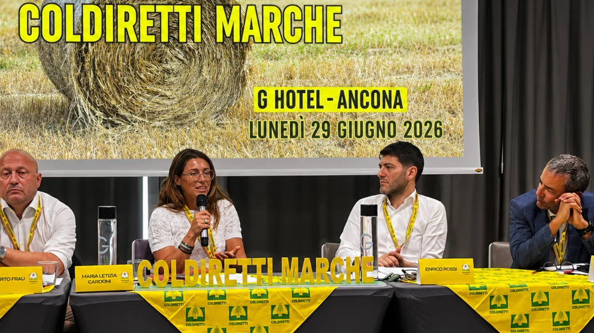 Agricoltura, Coldiretti Marche: aziende più strutturate ma serve accelerare sul ricambio generazionale. 