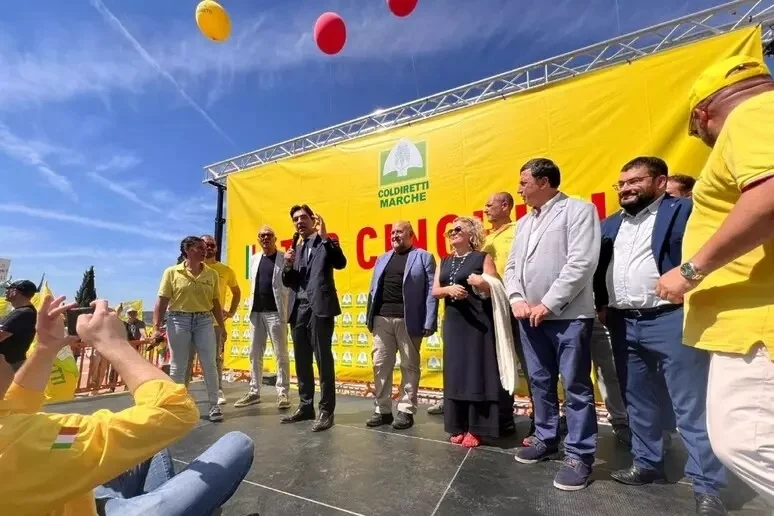 Acquaroli, delibera per piano Marche di abbattimento cinghiali
