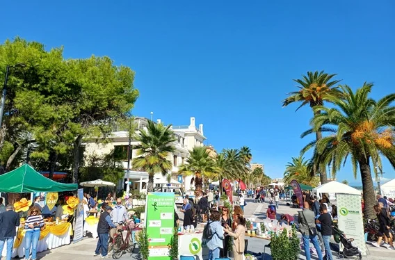 Laboratori, stand e solidarietà sul lungomare: a Grottammare torna "Volontariato d'aMare"
