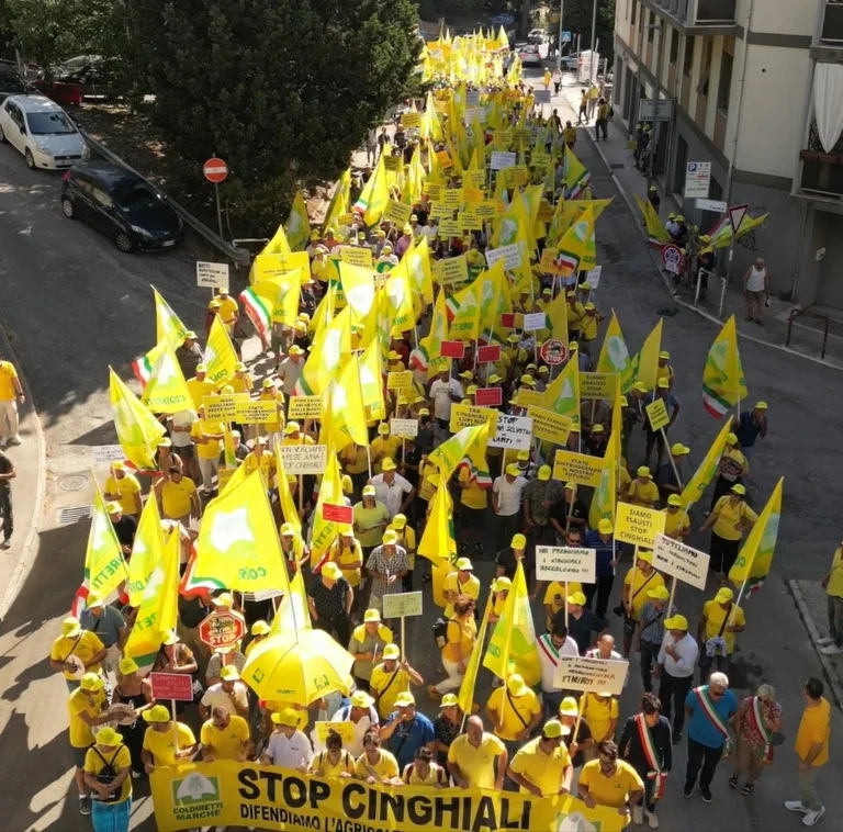 Coldiretti Marche, cinghiali: "Bene prime misure post manifestazione ma non basta"