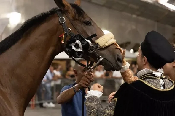 La contrada San Martino vince il 45° palio dell'Assunta a Fermo 