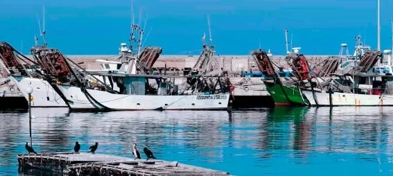 Tragedia al porto di San Benedetto del Tronto, 72enne trovato morto in mare