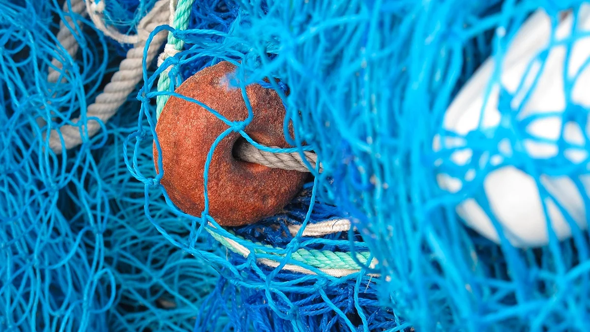 Nuovo decreto pesca. Albano (FdI), attività di pesca possibili anche sabato e domenica