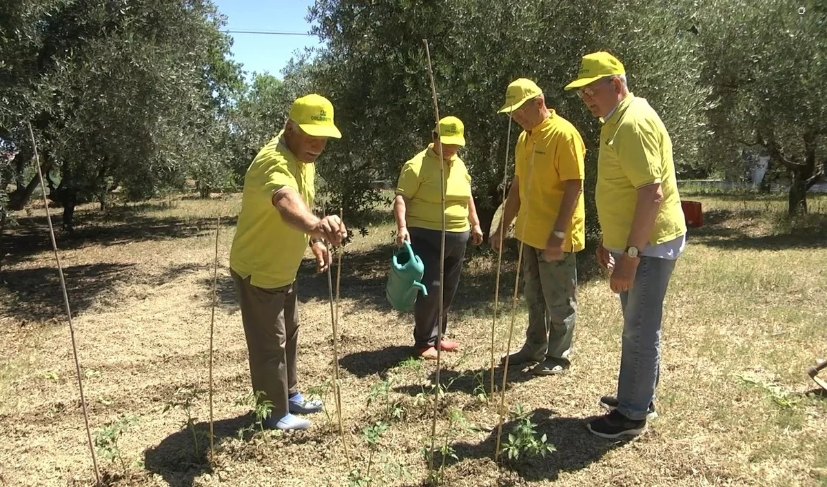 Salute e invecchiamento, l’agricoltura sociale diventa terapeutica: il progetto Silver Agri Age innovativo e semiresidenziale di Coldiretti, Inrca, Univpm e Centro Internazionale Montessori illustrato in agriturismo
