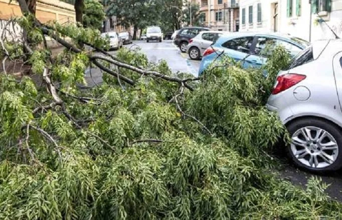 Paolo Canducci: "I fatti dimostrano la scarsa attenzione per la manutenzione ordinaria di questa Amministrazione"