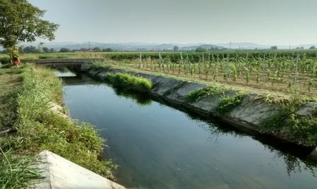 Bimbo sfugge ai genitori e annega nel canale, aperto un fascicolo