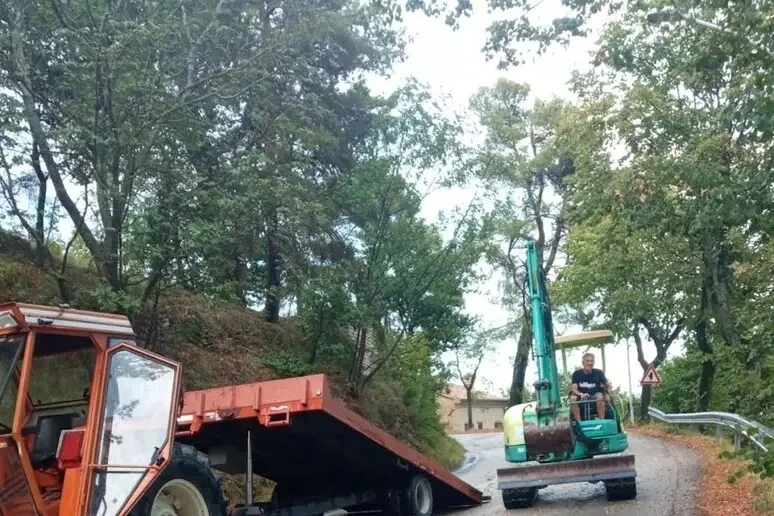 Sindaco operaio rimuove col trattore un albero
