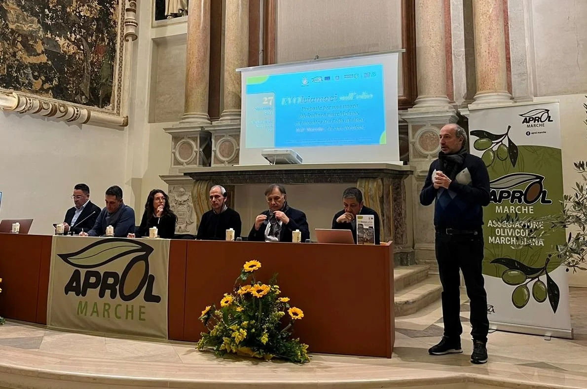 Coldiretti e Aprol Marche: Igp dell’olio, c’è ancora tanto da fare. Se ne parla a Fermo