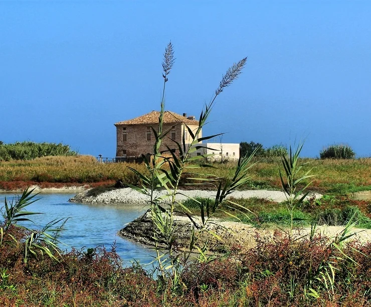 Sabato 28 dicembre in programma l'ultimo appuntamento dell’anno con le visite guidate nella Riserva Naturale Sentina