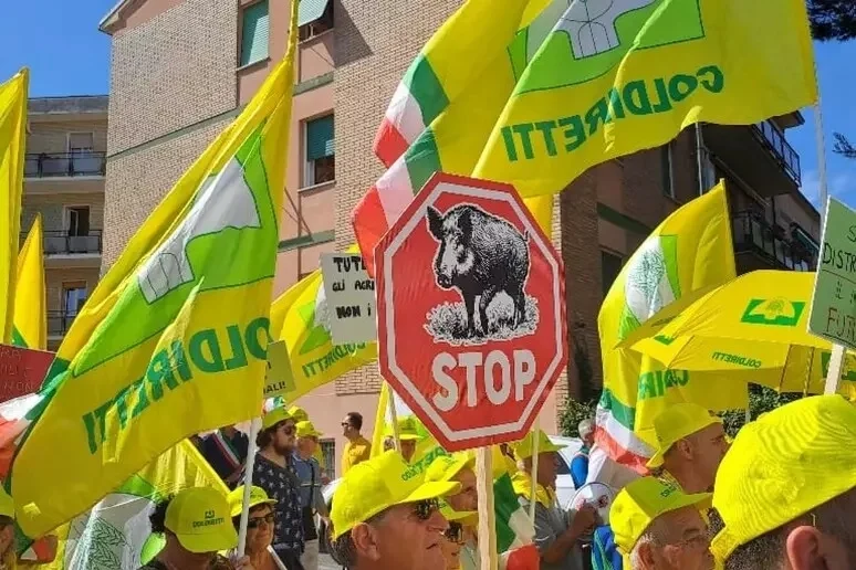 'Stop cinghiali', corteo di circa duemila agricoltori davanti alla Regione