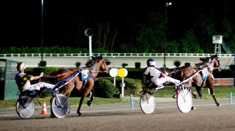 Un tuffo nel cuore del trotto con l’ippodromo “San Paolo” di Montegiorgio
