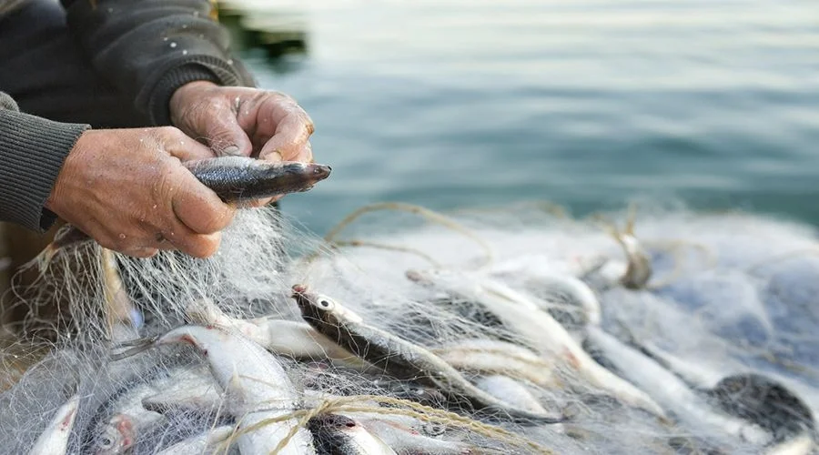CINQUE BANDI PER PESCA ED ACQUACOLTURA, INCONTRI SUL TERRITORIO PER ILLUSTRARE LE OPPORTUNITA’