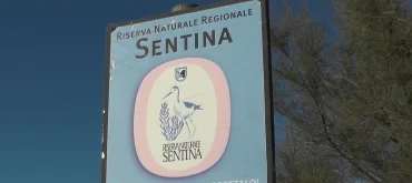 LA REGIONE MARCHE APPROVA IL PROGRAMMA QUINQUENNALE PER LE AREE PROTETTE 2026-2030
