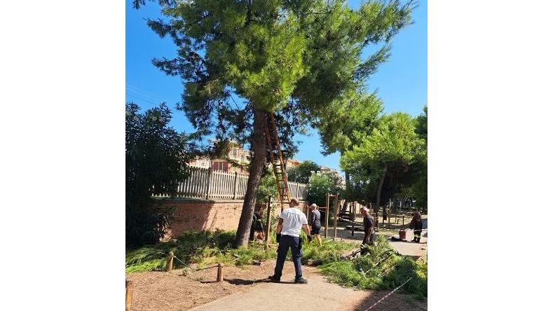 Crollo di un ramo nella pineta Ricciotti, ripristinata la sicurezza 