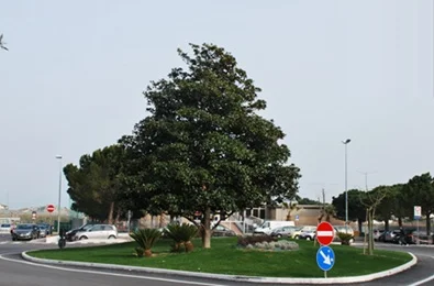 Giovedì 4 giugno rievocazione storica dell’eccidio di Palermo presso la piazza Setti Carraro in Porto D’Ascoli Centro