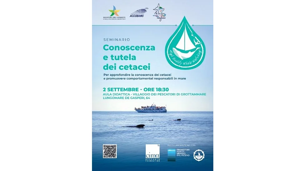 CETACEI NEL NOSTRO MARE: A GROTTAMMARE UN SEMINARIO PER CONOSCERLI E PROTEGGERLI