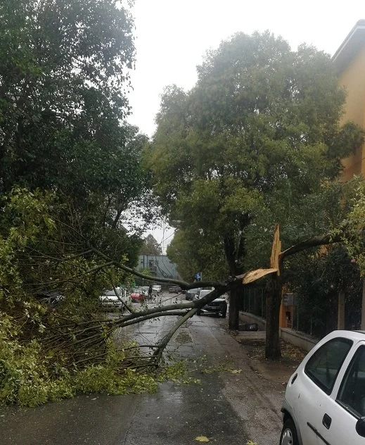 Allerta vento nelle Marche, chiuso tratto Statale 76 a Mergo