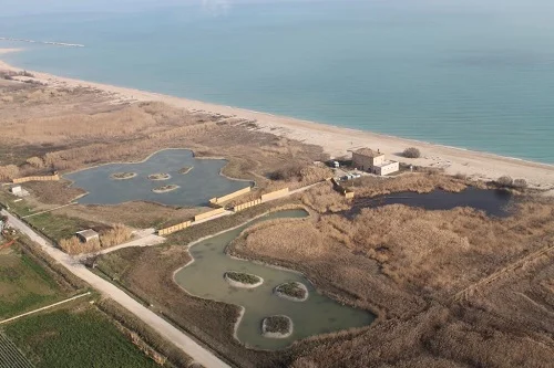 Il mare della Sentina è di nuovo tutto balneabile