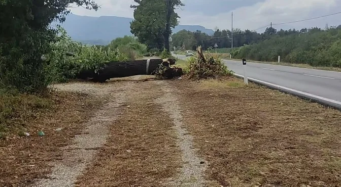 Ascoli Piceno - Pioggia e maltempo, tanti danni anche in città