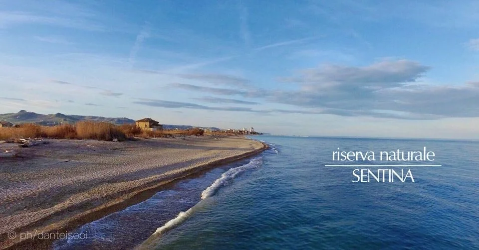 Nuovo appuntamento con la storia alla Riserva Sentina