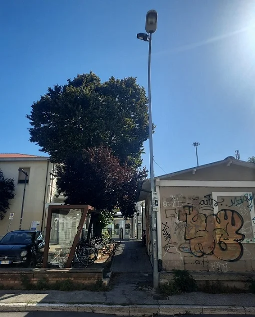 Comunicato stampa del Comitato del quartiere Porto d'Ascoli Centro