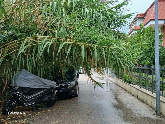 Grottammare, disagio evidente in via del Giglio ma nessuno interviene