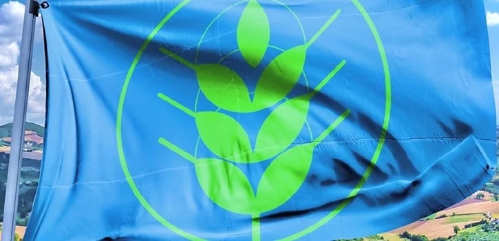 Un Natale sostenibile per festeggiare Spighe Verdi 2025