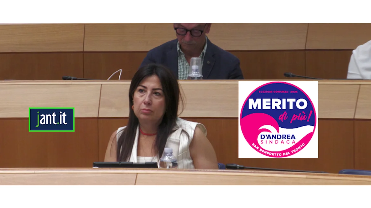 Comunicato stampa della Consigliera di Merito di Più, Maria Elisa D'Andrea 