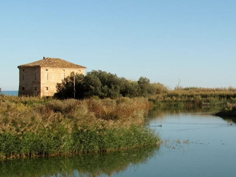 Alla Sentina tornano le escursioni nella storia