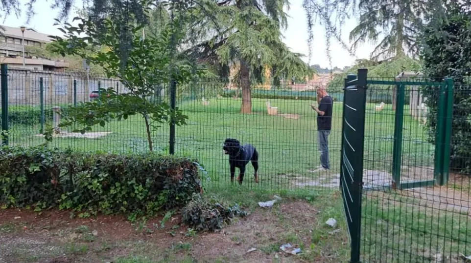 Ascoli Piceno - Aree di sgambamento per cani nel degrado, ne verrà realizzata una nuova a Monticelli 