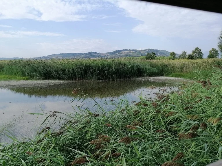 Riserva Naturale Sentina, interventi di manutenzione in tutto il parco