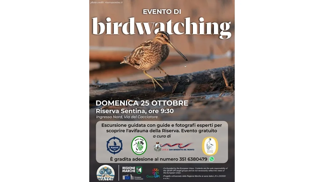 Domenica 25 ottobre si fa birdwatching alla Sentina