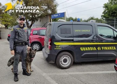 La Finanza intensifica i controlli antidroga nelle scuole del Piceno 