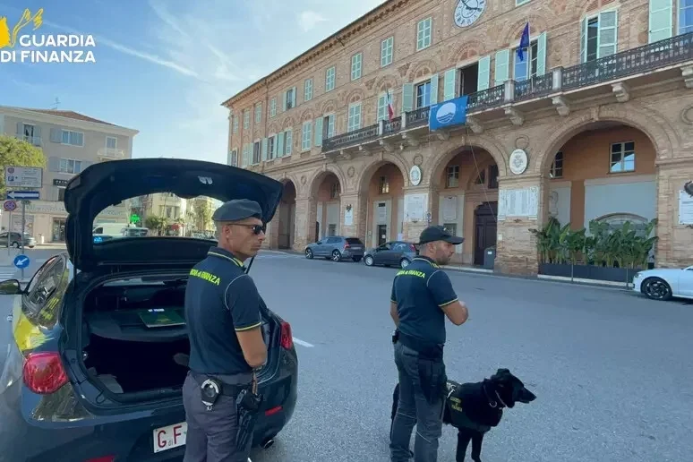 Pacchi di marijuana pronti per spedizione, sequestrati 40 chili