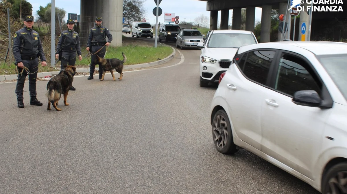 Droga, lavoro nero e sequestri di merce contraffatta al centro dei controlli estivi delle Fiamme Gialle