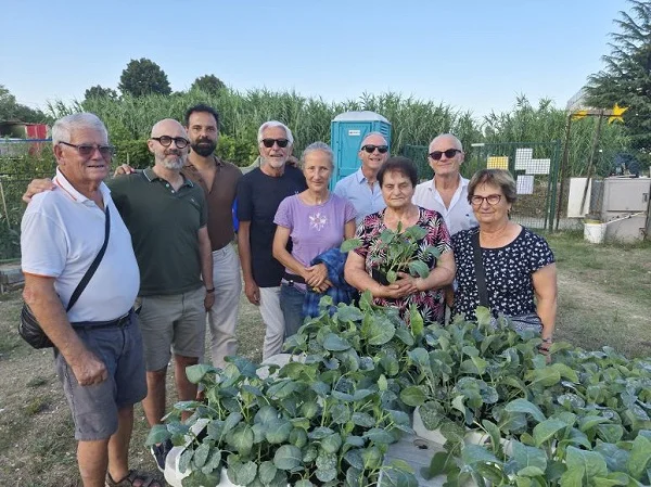 Promarche dona duecentocinquanta piantine di cavolfiore e broccoli agli Orti degli Anziani