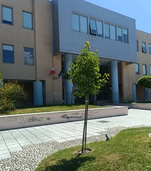 San Benedetto, piantumato un esemplare di albero della canfora in ricordo del piccolo Matteo Brandimarte