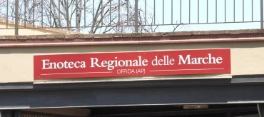 Sabato 14 febbraio 2026 la Polisportiva Offida United ha trasformato l’Enoteca Regionale delle Marche (Vinea) di Offida in un grande spazio di incontro, convivialità e divertimento