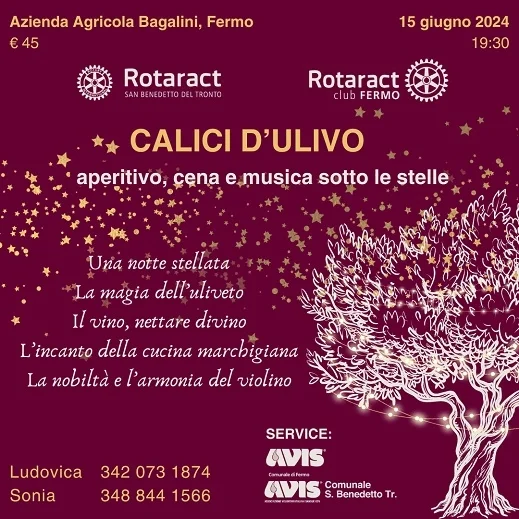 Aperitivo e cena di beneficenza "Calici di vino" 2024