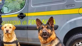 GdF, i cani antidroga Fabian e Jimbo trovano nuove sostanze psicoattive: primi casi in Abruzzo