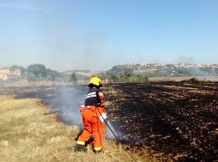 Incendi in due campi nel Fermano, Vigili del Fuoco in azione
