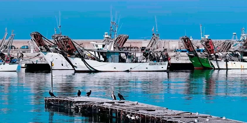 Si getta in acqua al porto di San Benedetto, salvata una ragazza