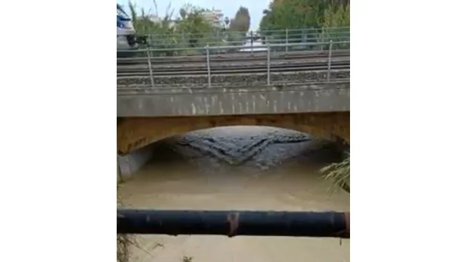 Trovato cadavere di 82enne nel fossato del Torrente Ragnola