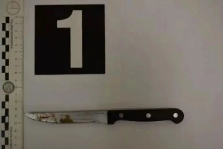 Accoltella e ferisce il compagno al petto durante una lite
