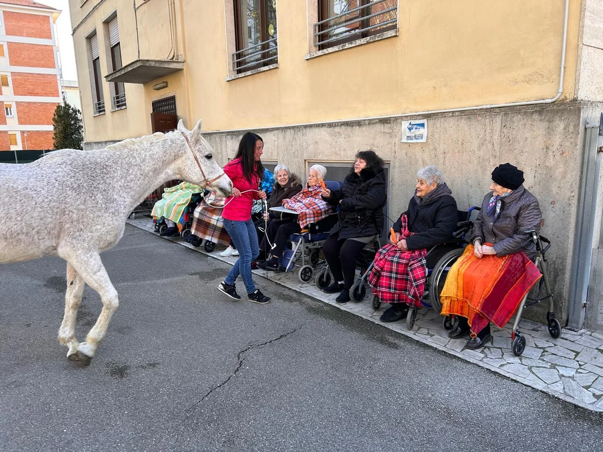 Ascoli Piceno - Bimbi e anziani alla scoperta del cavallo nella scuola del Preziosissimo Sangue