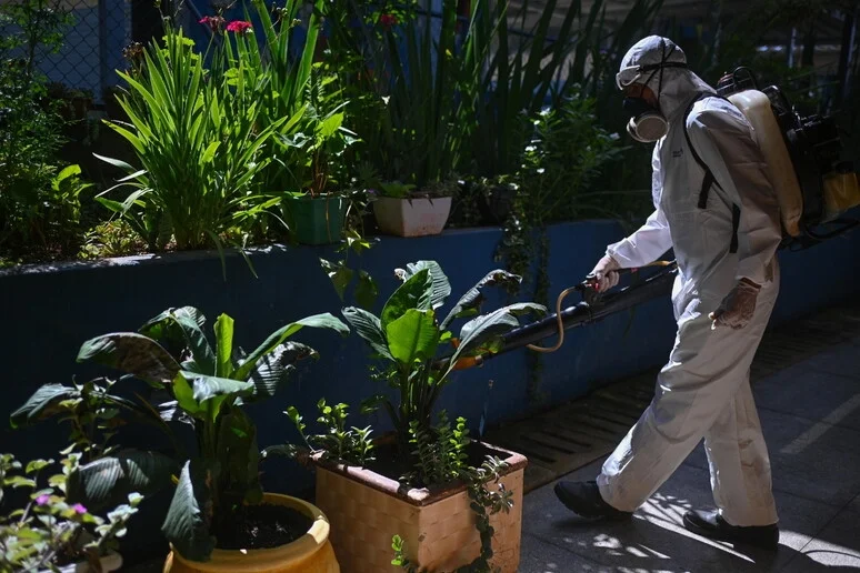 DENGUE: NOTA ARS IN RISPOSTA AGLI ARTICOLI DI STAMPA