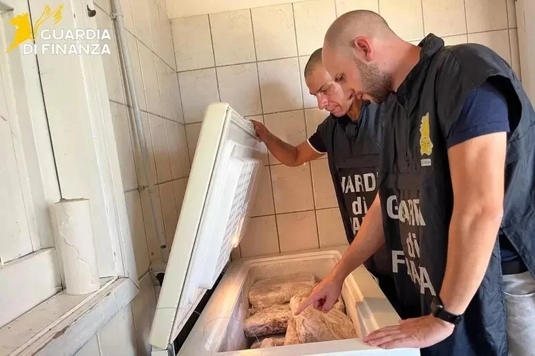 Controlli nel Fermano, sequestrati 250 chili di pescato